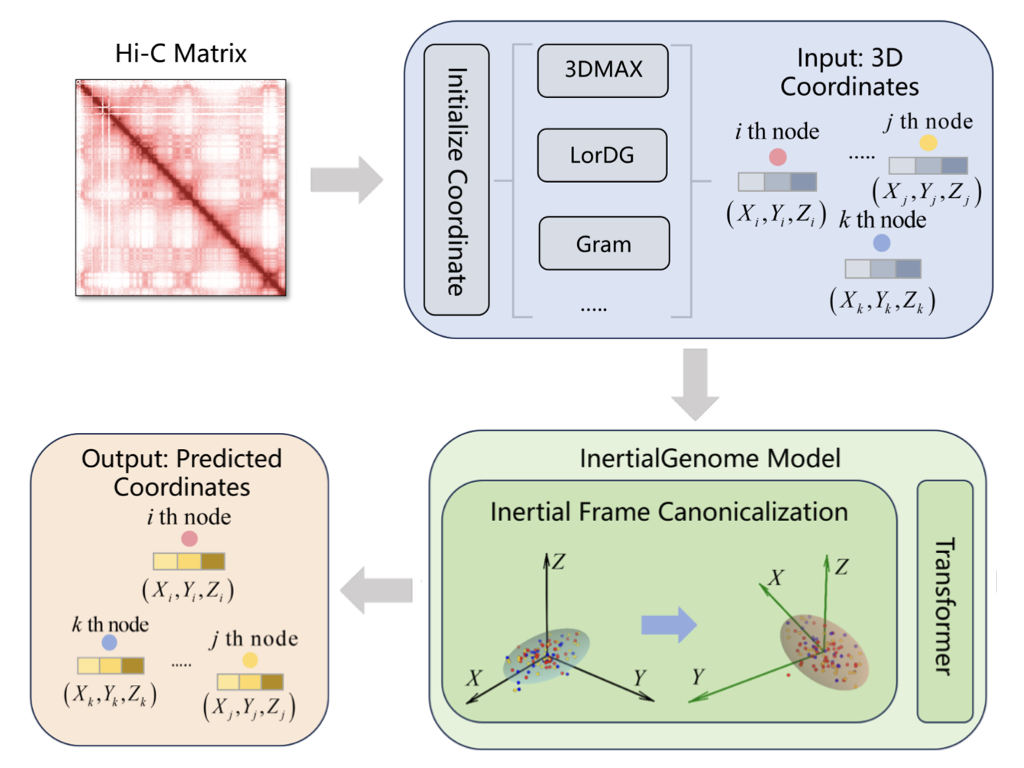 InertialGenome